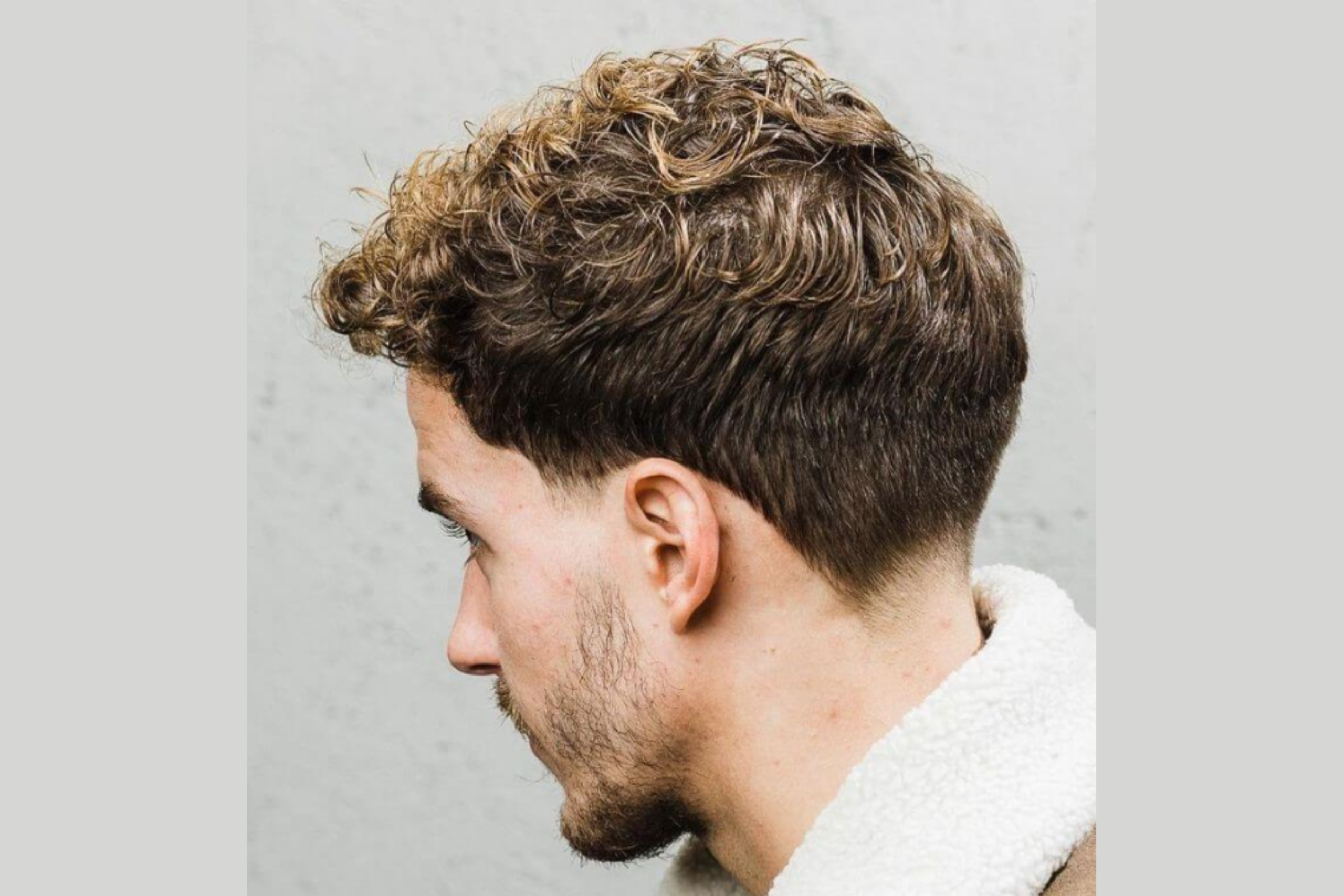 The Curly Taper