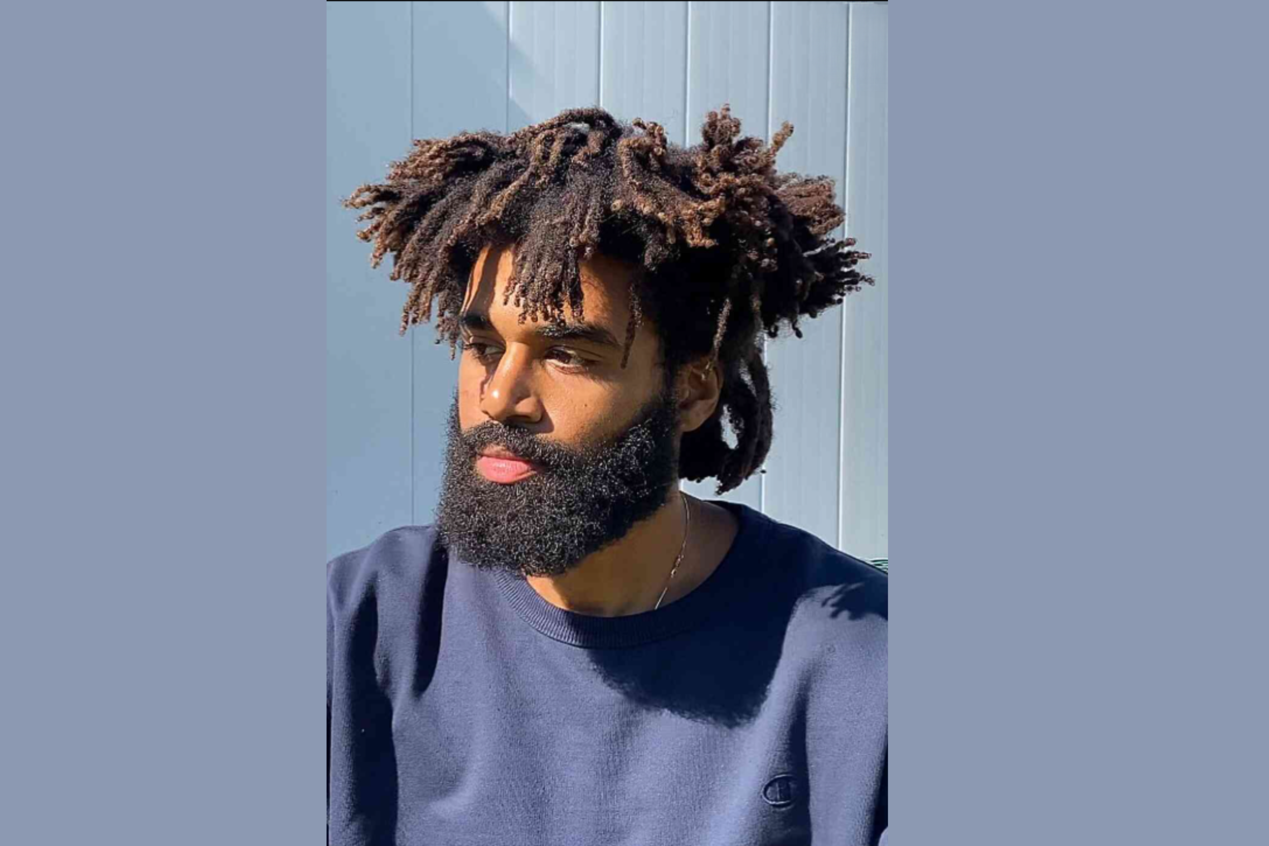 Locs (Freeform or Structured)