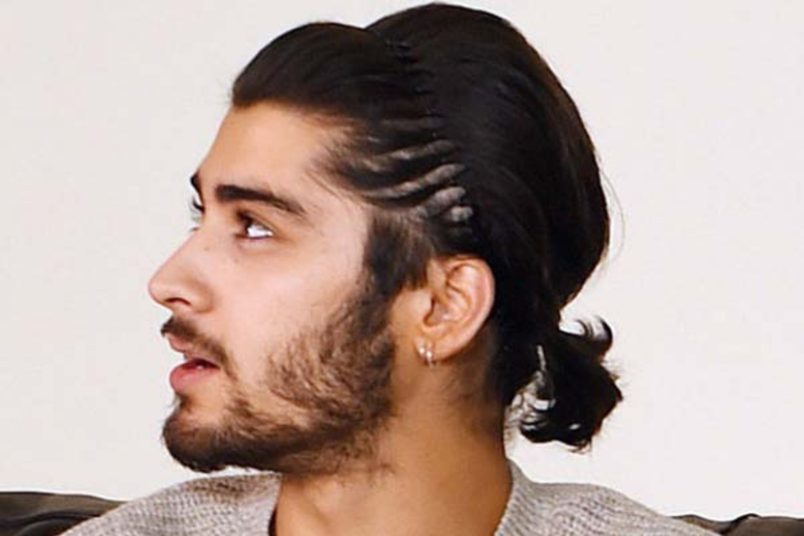 Small Braided Ponytail