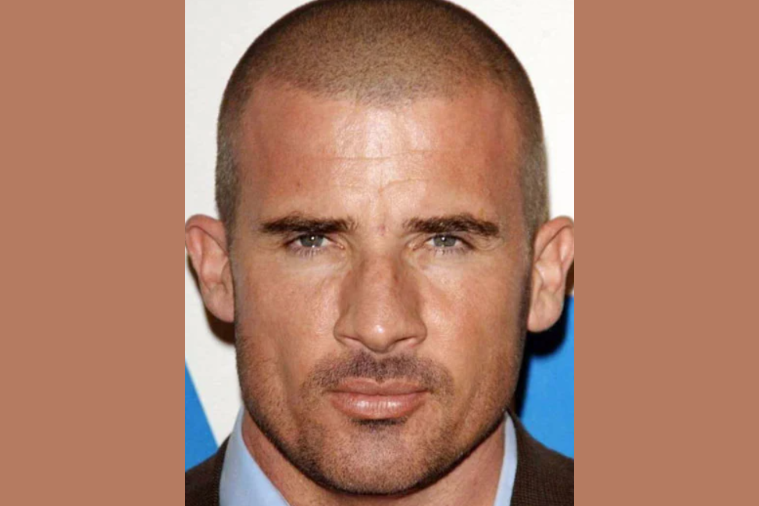 The Buzz Cut