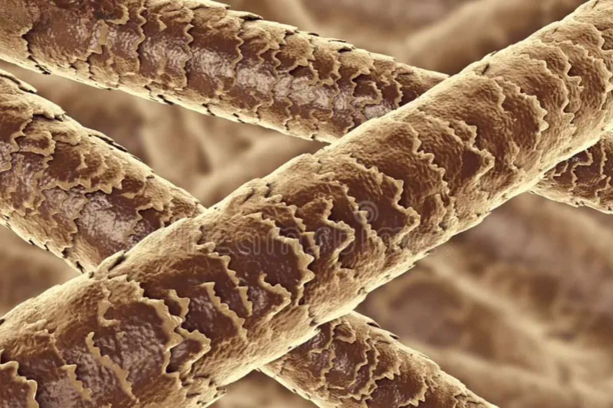 Close-up of mineral build-up on hair strands (illustration or macro) men