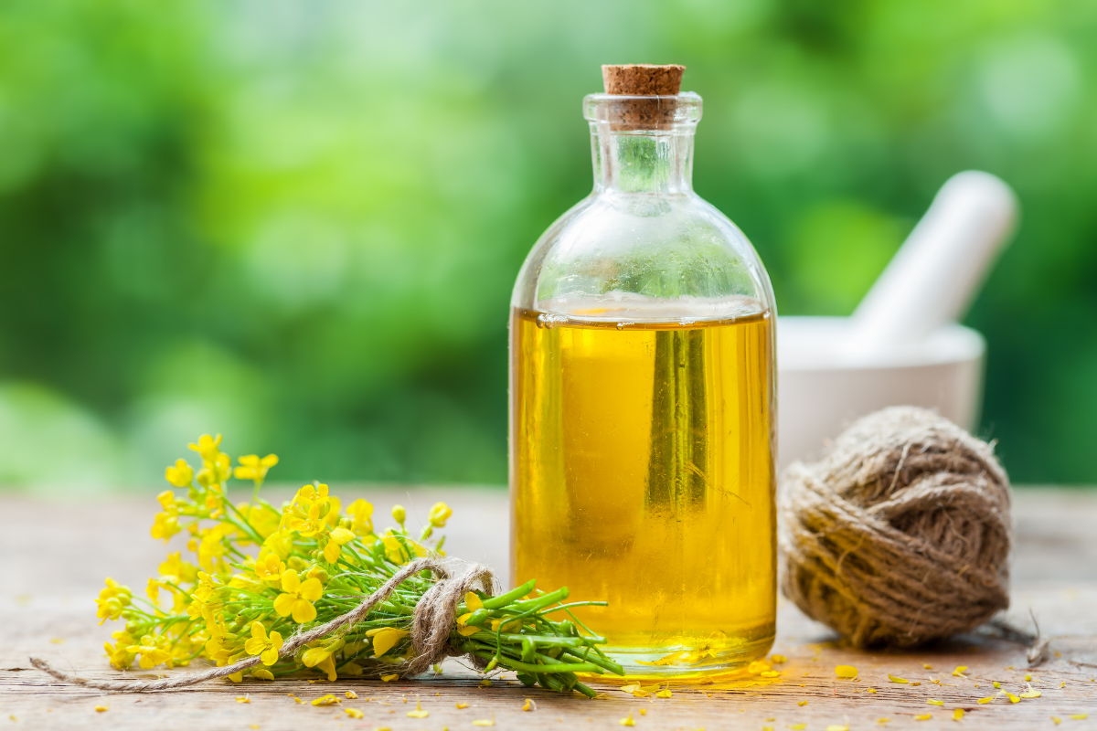 Refined Grapeseed Oil for Hair_Skin